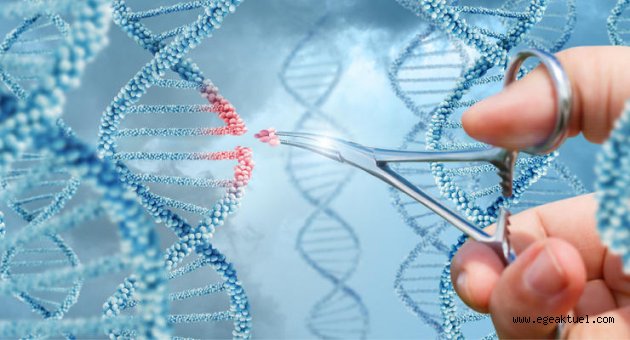 Genetik kodlarınız İzmir'de çözülüyor