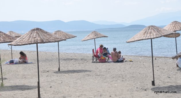  Güzelbahçe plajlarına hasır şemsiye