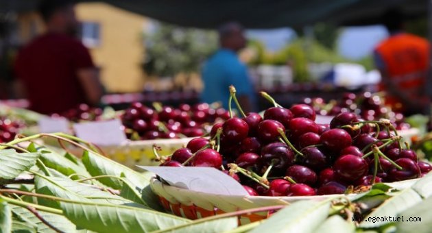 Haftasonu festival zamanı