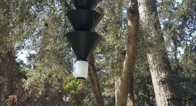 Hasanağa Bahçesi “emin ellerde”