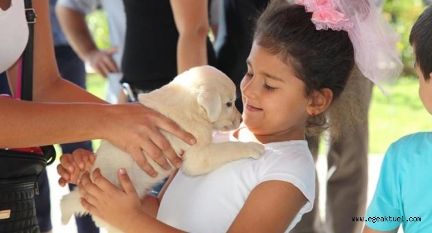 Hayvan hakları için Karabağlar'da kermes düzenlendi