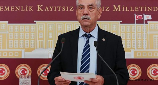 Hayvan Hakları Yasası neden hala yasalaşmıyor?