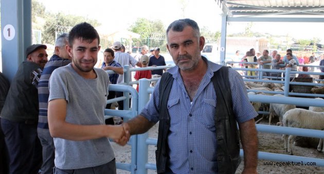 Hayvan Pazarı Uğurlu Geldi