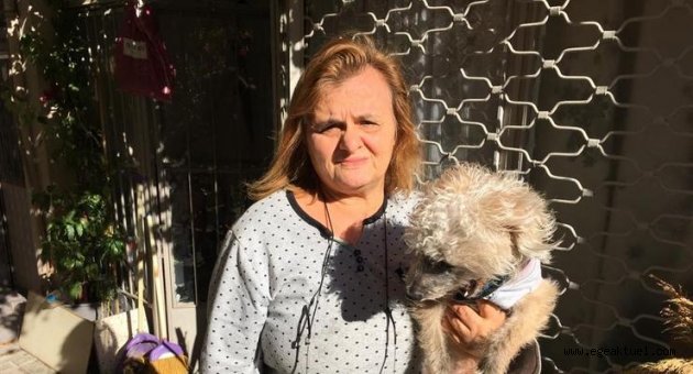 Hayvanseverden hırsıza çağrı