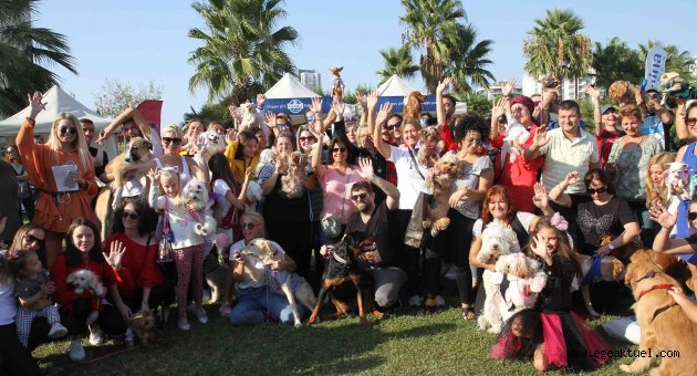 Hayvanseverler Pati Festivali’nde buluştu