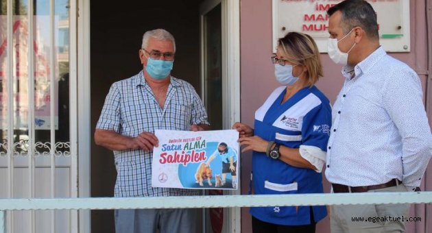 Hayvanseverlerden ‘satın alma, sahiplen’ çağrısı