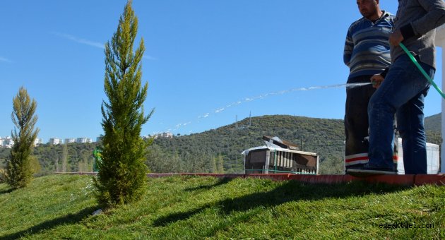 Hedef yemyeşil bir Dikili