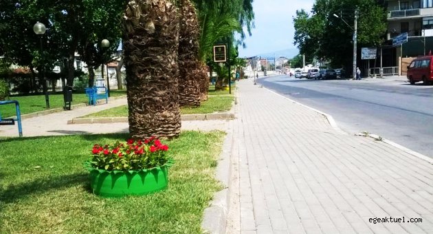 Hem estetik hem çevreci