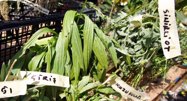 Hem mutfaklara hem sokaklara festival geldi