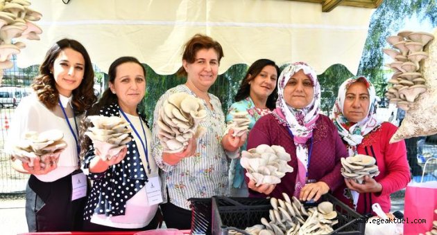 Hem sağlık hem lezzet
