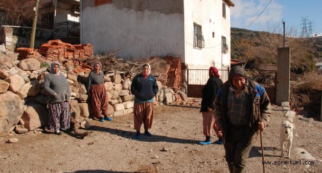 Heyelan mağdurları hayvanlarını bırakıp gidemiyor