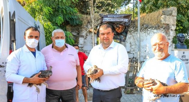 Hindi belediyeden üretip kazanmak çiftçiden