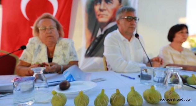 İlk Bardacıklar Mecliste Görücüye çıktı