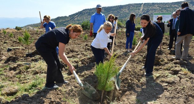 İlk fidanı hemşireler dikti