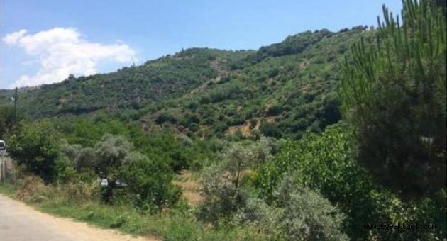 İncir ve zeytin ağaçlarının bulunduğu bölgede jeotermal kaynak aranacak