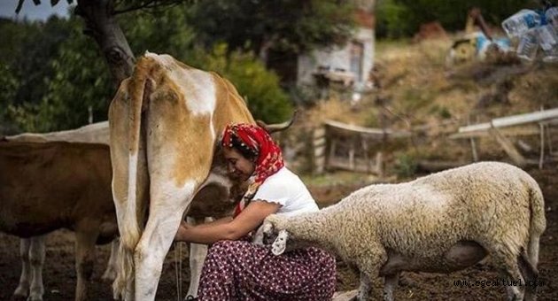 İTB'nin fotoğraf yarışması sonuçlandı