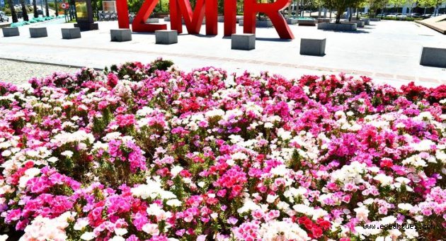 İzmir çiçek açtı