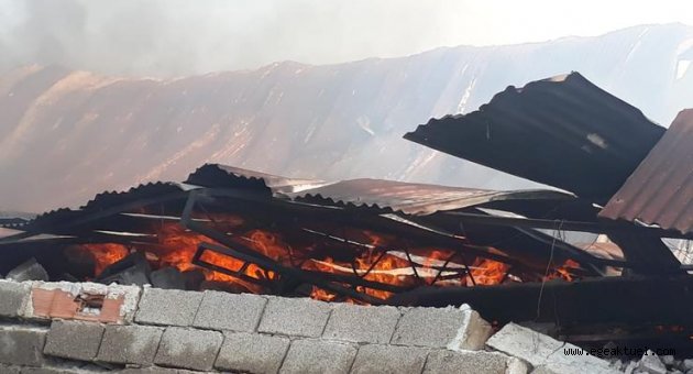 İzmir’de ahşap sandalye fabrikasında yangın