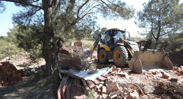 İzmir’de orman işgaline geçit yok