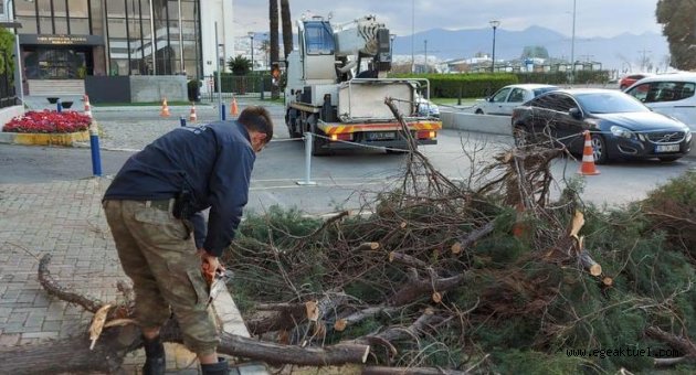 İzmir’de şiddetli rüzgâr yaşamı olumsuz etkiledi