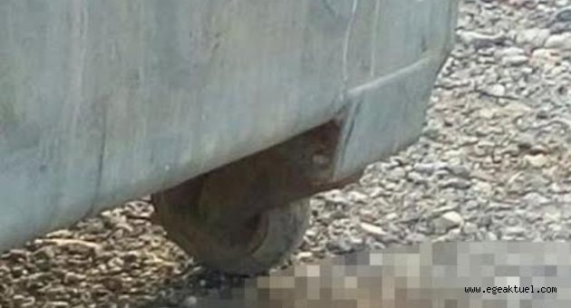 İzmir’de şüpheli paketten cenin çıktı!