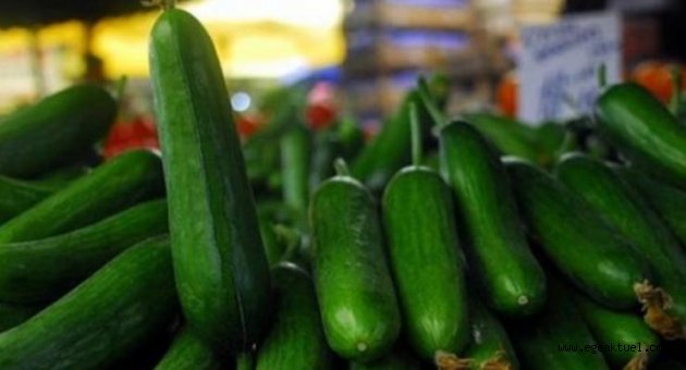 İzmir’de zam şampiyonu salatalık