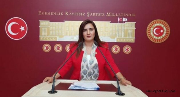 “İzmir’in doğa harikası koylarını koruyalım"