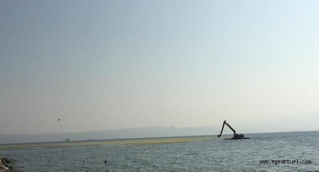 İzmir Körfezi’nde ürküten görüntüden rahatlatan görüntüye