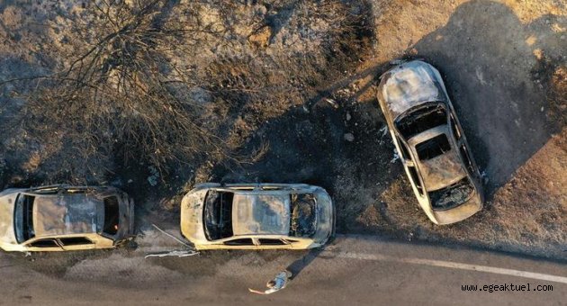 İzmir'de 44 aracın hasar gördüğü orman yangınına sigara izmariti neden olmuş
