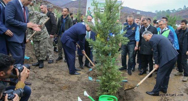 İzmir'de binlerce fidan toprakla buluştu