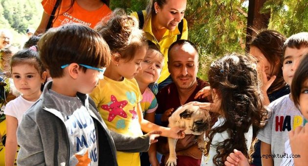 İzmir'de hayvan barınağını bir yılda 1825 öğrenci ziyaret etti