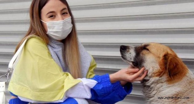 İzmir'de mahalleli sokak hayvanlarını zehirleyenleri arıyor