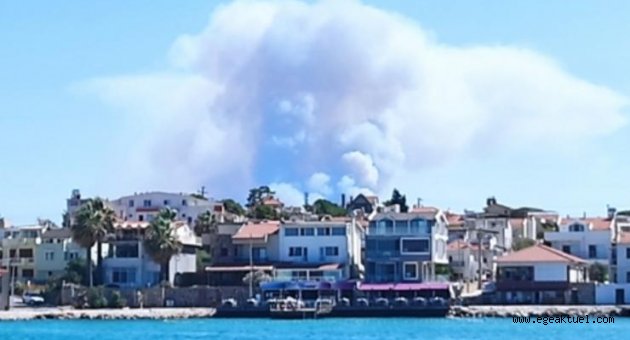 İzmir'de makilik alanda yangın