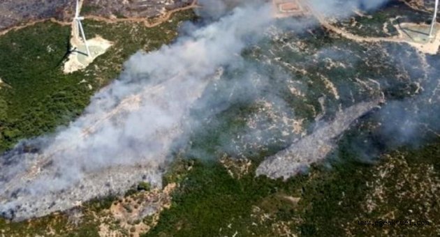 İzmir'de makilik alandaki yangın kontrol altında