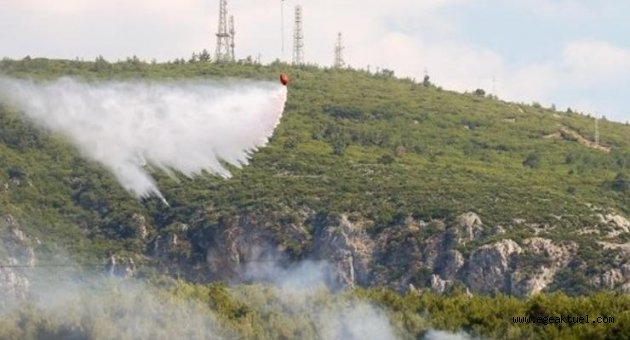 İzmir'de orman yangını...