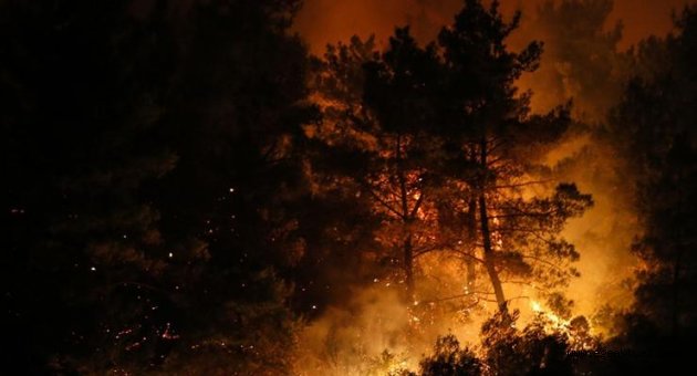 İzmir'de ormanı kundaklama iddiasına 2 gözaltı!