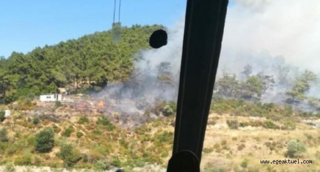 İzmir'de ormanlık ve makilik alanda yangın!