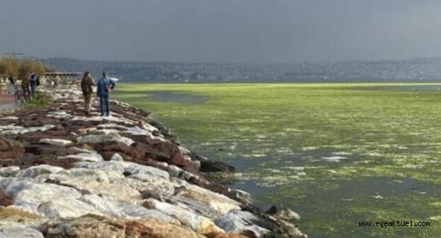 İzmir'de şaşkına çeviren görüntü!