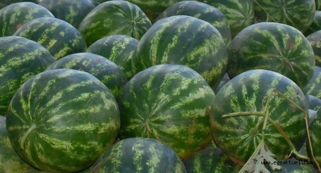 İzmir'de zam şampiyonu karpuz