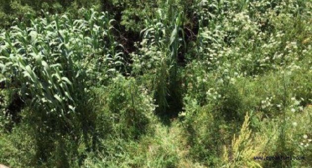 İzmir'de zehir tacirlerine büyük darbe