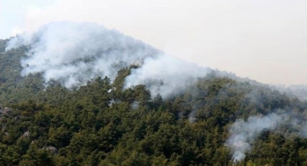 İzmir'deki yangında son durum büyük ölçüde söndürüldü!