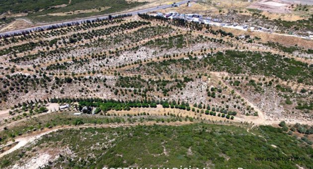 İzmir'e 'En İyi Kentsel Tasarım' ödülü