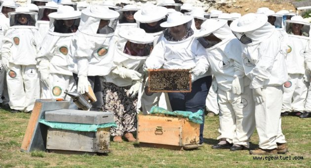 İzmir'in kadınları 'arı gibi' çalışıyor