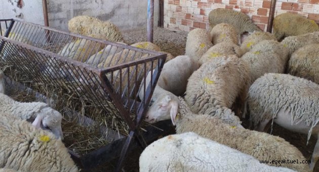 İzmir'in o ilçesinde 20 mahalle karantinada