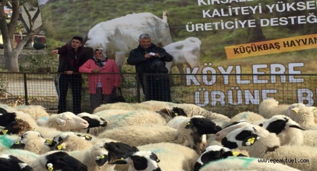 İzmir'in ‘umut sürüsü’ büyüyor