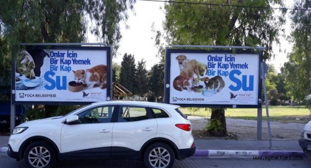 İzmirli belediyelerden sokak hayvanları için seferberlik