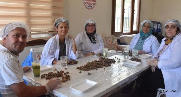 İzmirli kadınlar üretime ortak oluyor