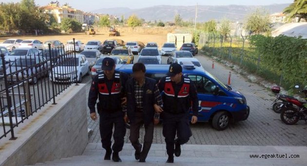 Jandarmadan operasyon: İzmir’de 2 kişi yakalandı
