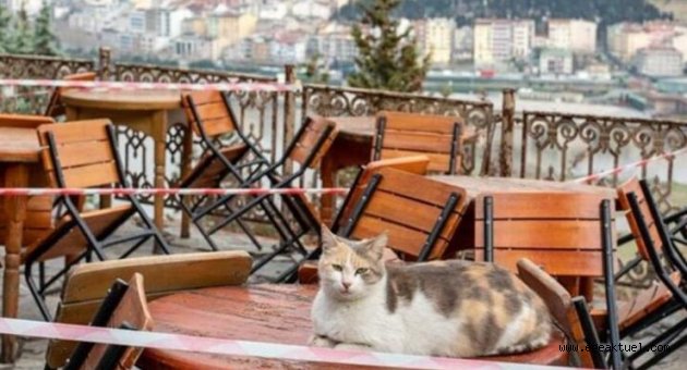 Kademeli normalleşmede hayal kırıklığı