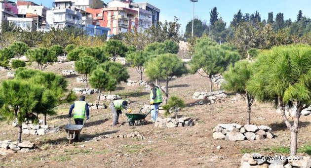 Kadifekale’yi bir de baharda görün